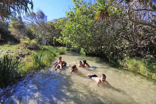 Хищники среднего размера подвергаются наибольшему риску изменения окружающей среды