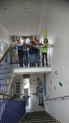 Проливая свет на рост и развитие растений: исследователи обнаружили, как растения реагируют на изменения освещения на молекулярном уровне