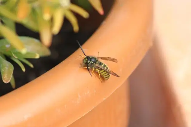 Разогрелись и рвутся в путь: Что происходит, когда машина заводится на морозе?