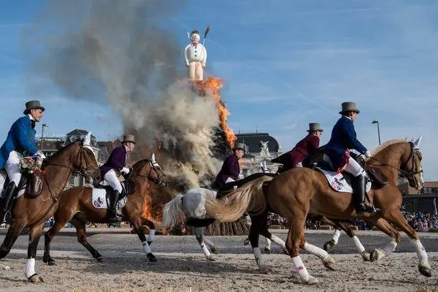 Исследование лемуров подчеркивает роль диеты в формировании микробиома кишечника