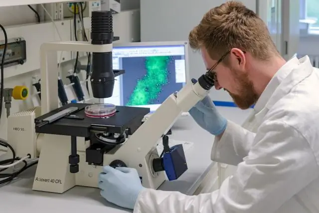 Инженеры печатают «живую татуировку» на 3D-принтере: новая технология 3D-печати запрограммированных клеток в живые устройства впервые