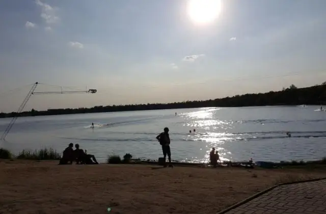 Похолодание климата повлияло на эволюцию тасманского дьявола и его родственников