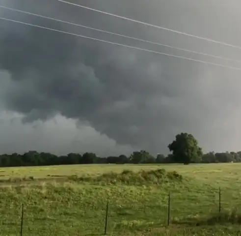 Замораживание деревьев, поиск ответов: исследователи изучают влияние ледяных бурь и изменения климата