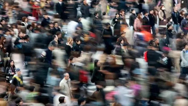 «Стрессовые» какао-деревья могут производить более ароматный шоколад