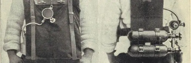 Биоэлектронный «нос» может определять порчу продуктов по запаху смерти