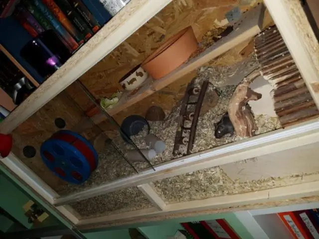 Предсказания более суровых климатических моделей могут быть самыми точными