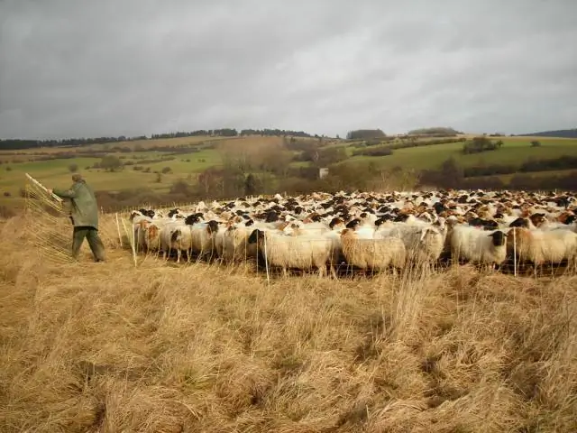 Пыль играет важную роль в удобрении горных растений