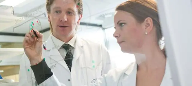 Новый алгоритм распознает отчетливые щелчки дельфинов в подводных записях: подход машинного обучения может помочь ученым отслеживать популяции диких дельфинов