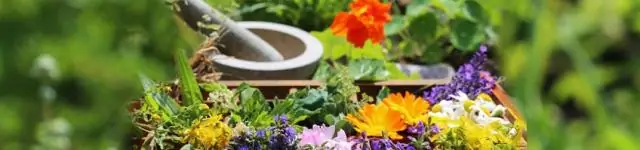 Уменьшение роста отдельных растений иногда повышает устойчивость сообщества