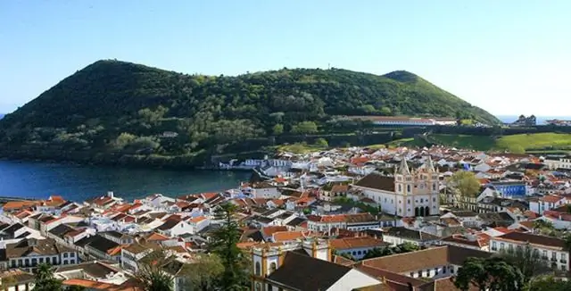 «Дымовые кольца» в океане могут «засасывать» мелких существ и отправлять их «в полет»