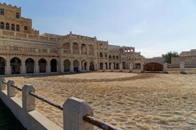 Как выследить скрытного ястреба? Следите за изотопами: исследования изотопов могут помочь сохранить многие исчезающие виды