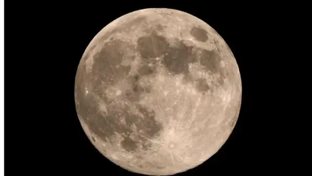 Равно ли затмение ночи в жизни растений? Исследователи проверяют ритмы растений во время солнечного затмения