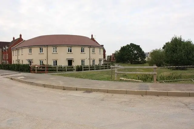 Ястребы Городского Купера превосходят своих сельских соседей