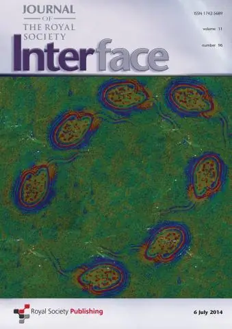 Скорость полета птиц сложнее, чем считалось ранее