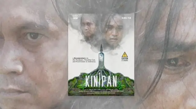 Обнаружена связь между вырубкой лесов и добычей рыболовства в Амазонии: новое исследование изучает связь между вырубкой лесов и добычей рыболовства в Амазонии