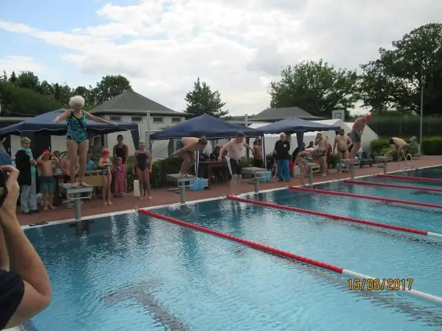 Самый старый плезиозавр был сильным пловцом: исследователи из Боннского университета описывают эту необычную подводную рептилию, жившую 201 миллион лет назад