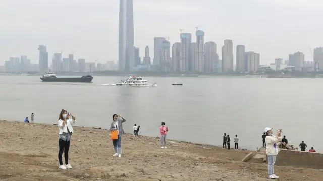 Исследователи отслеживают происхождение картофеля и узнают о его неиспользованном потенциале