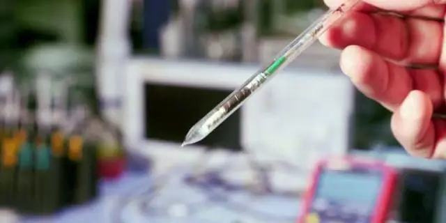 Исследователи разработали модель мыши для изучения птероптинового ортеовируса