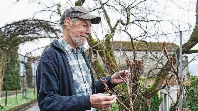 Индонезийский остров необычайно богат наскальными рисунками