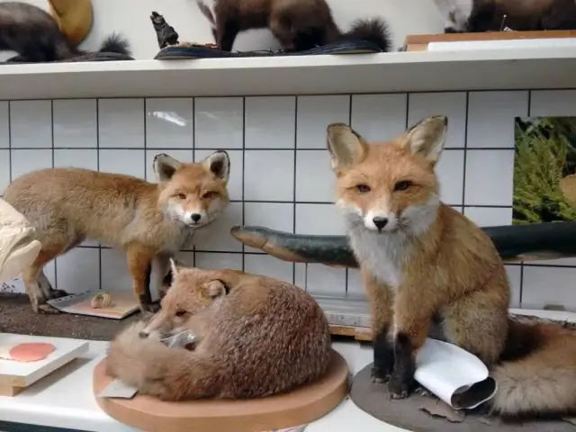 Картофельный ожог’s