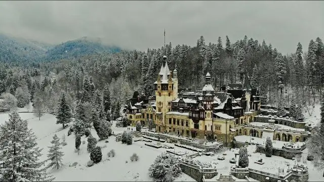 Сложные старовозрастные леса могут защитить некоторые виды птиц в условиях потепления климата