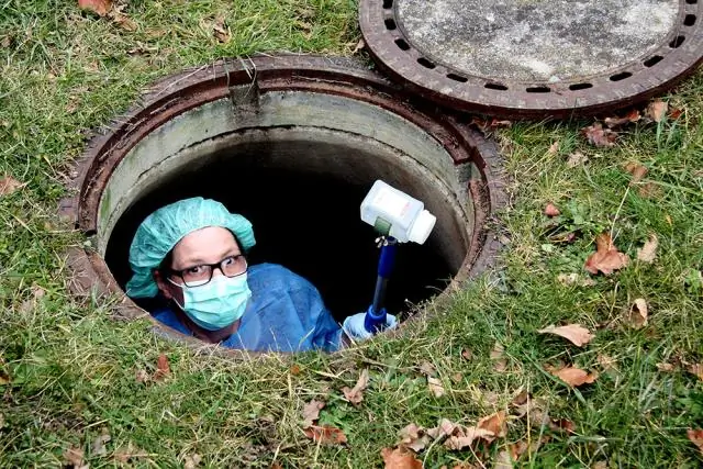 Кишечные бактерии пчел передают друг другу устойчивые к антибиотикам гены: во всем виноваты общие генетические навыки выживания