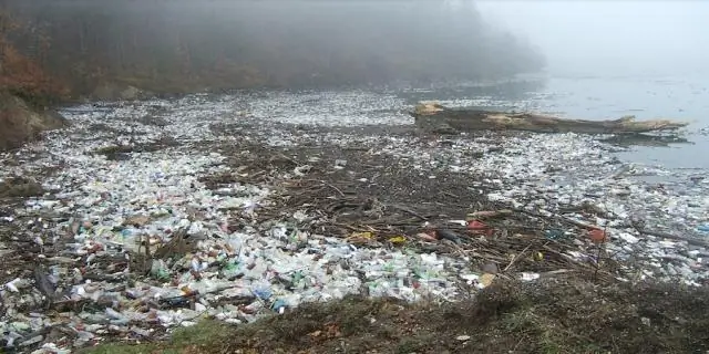 Потепление морей вызвало двойной снегопад вокруг самых высоких пиков Северной Америки: беспрецедентные открытия укрепляют связь между зимними штормами и тропическими водами