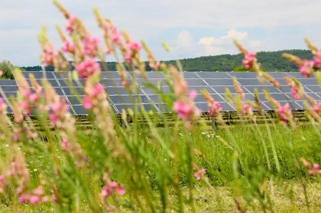 Расширение использования солнечной энергии без посягательств на потенциальные сельскохозяйственные угодья и охраняемые территории