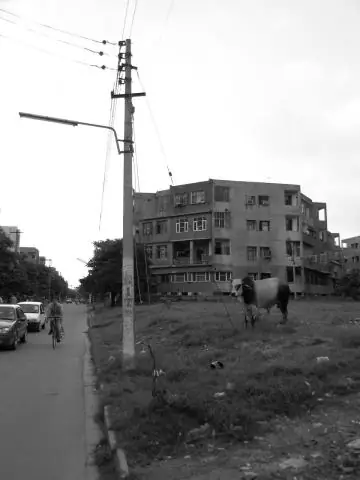 Биопленки как строители: новые методы в бионике через прямое использование природных структур