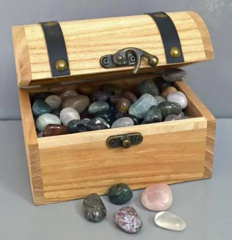 Найдена сокровищница высокодетализированных окаменелостей