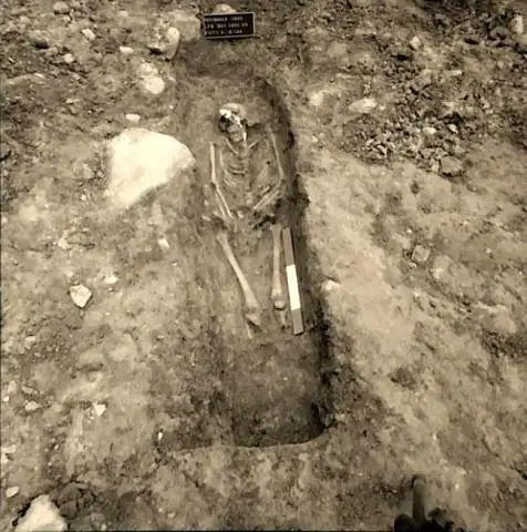 Кости обнаружены под улицей Эксетера с первого ужина с индейкой в Англии?