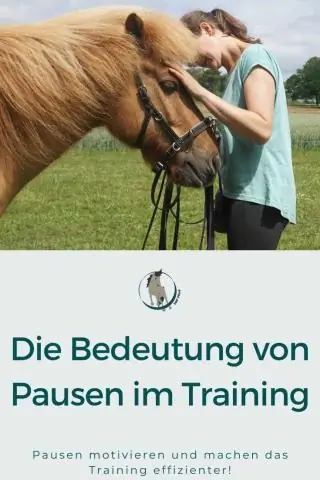 Нет отдыха уставшим растениям рапса: высокие ночные температуры негативно сказываются на продуктивности растений