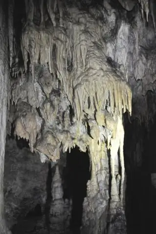 Североатлантическое колебание синхронизирует воспроизводство деревьев по всей Европе