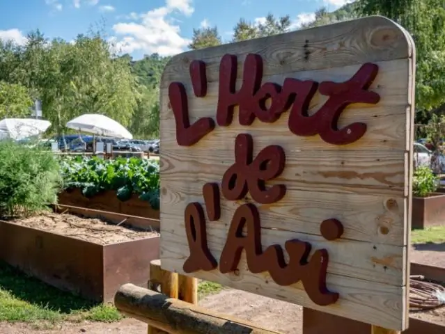 На острове Пасхи было кооперативное сообщество, показывает анализ гигантских шляп