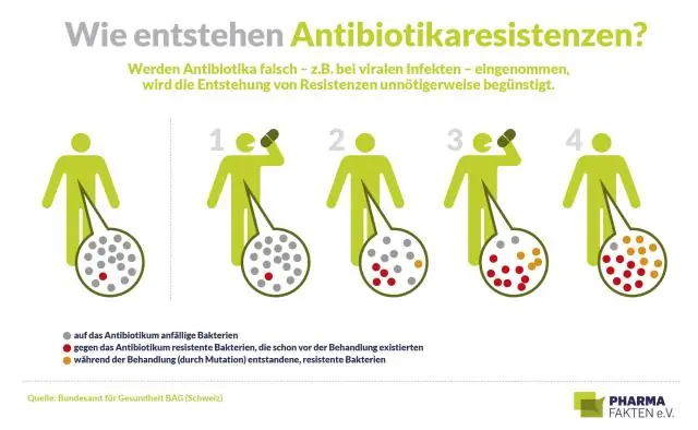 Устойчивость к антибиотикам: выявлены «спящие» бактерии, способные выжить при лечении лекарствами