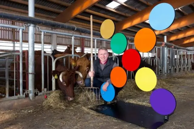 Неожиданное сельскохозяйственное производство позволило доиспанскому обществу процветать в засушливых Андах