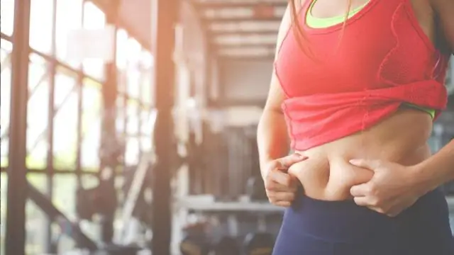 Это сезон, чтобы быть бдительными: риск отравления шоколадом у собак достигает пика на Рождество