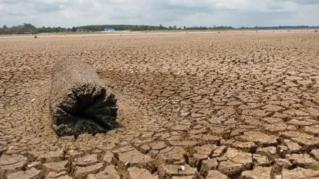 Влажность может оказаться критической для некоторых районов по мере повышения температуры, говорится в исследовании: от юга США до Китая тепловой стресс может превысить человеческую выносливость