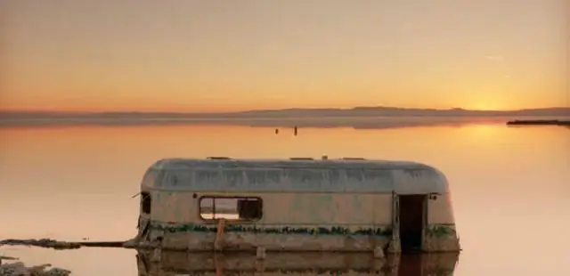 Крошечные австралийские радужные пауки-павлины могут вдохновить на создание новых оптических технологий