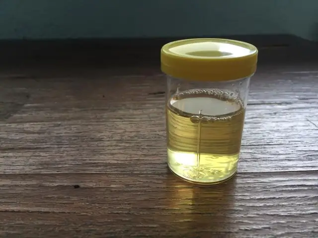 Дружба с самим собой имеет свои преимущества, но рекомендуется запасной вариант: самооплодотворяющиеся рыбы обладают удивительным генетическим разнообразием