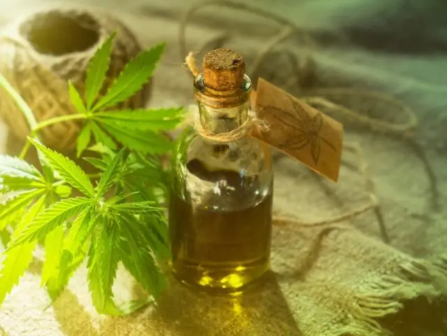 Ученые должны быть супермоделистами