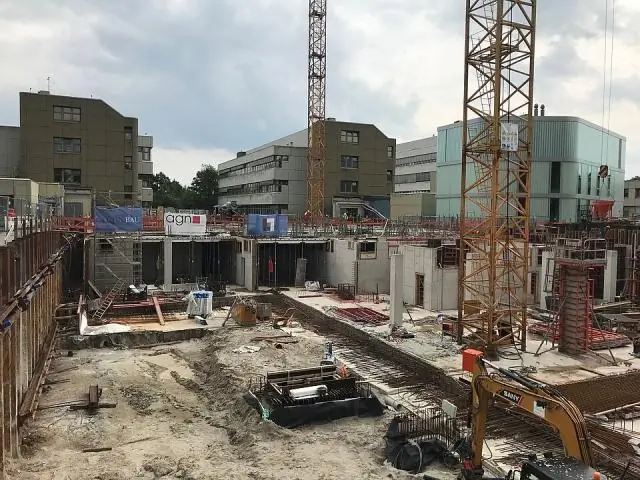 Инженеры взламывают клеточную биологию, чтобы создавать трехмерные фигуры из живых тканей