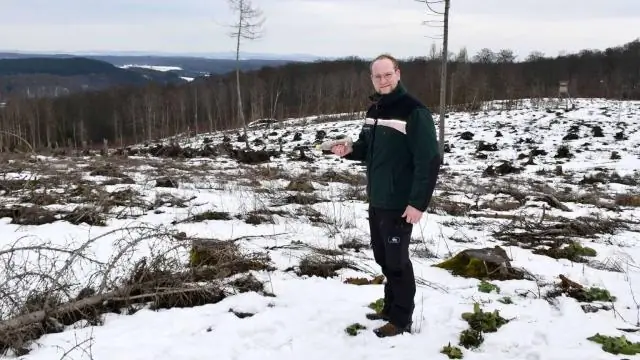 Скоростная селекция сеет семена новой зеленой революции: новаторская новая технология призвана ускорить глобальное стремление к улучшению урожая