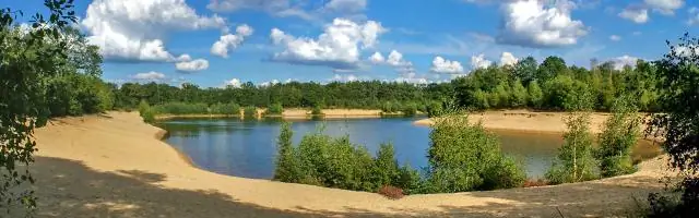 Как рыба-мичман выдерживает свой часовой брачный зов