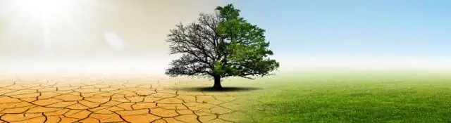 Технология ископаемого топлива, которая не загрязняет окружающую среду: процесс может использовать уголь, сланцевый газ и биомассу при потреблении углекислого газа