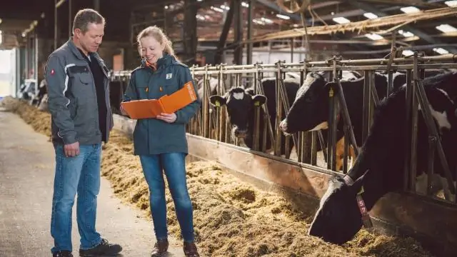 Новый метод опреснения предлагает низкоэнергетическую альтернативу очистке соленой воды