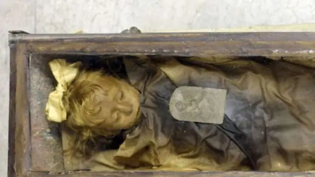 Исследователи используют «глобальный термометр» для отслеживания экстремальных температур, засух