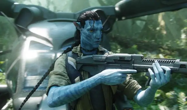 Местные биокорки в реальном мире: микробный метаболизм: функциональная связь структуры микробного сообщества с химией окружающей среды