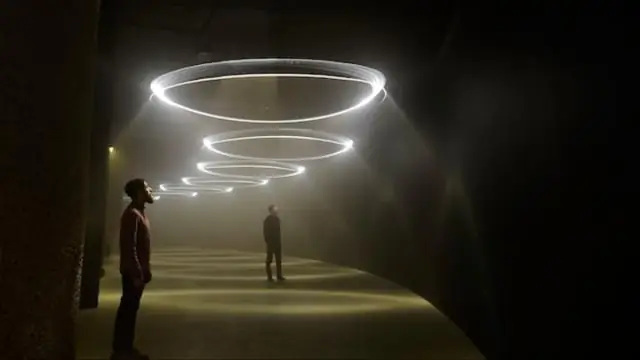 Земляки нарушают эволюционные «правила»: обыкновенная землеройка бросает вызов островному правилу и правилу Бергмана