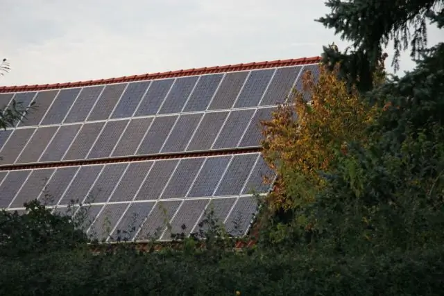 Укрепление цитрусовых, чтобы лучше противостоять изменению климата